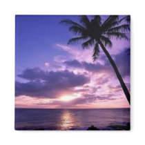 Paradise Island magnets by fstasu50 Paradise Island magnets