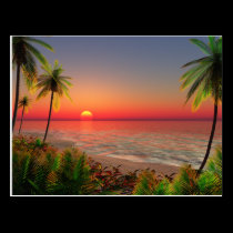Paradise Island Post Card postcards