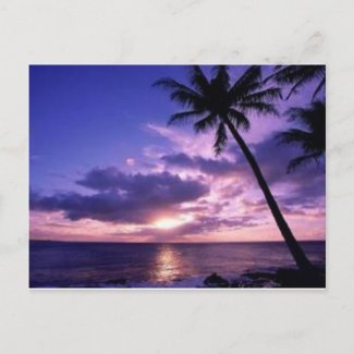 Paradise Island postcard