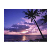 Paradise Island Postcards