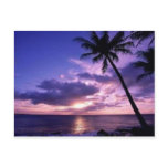 Paradise Island postcards