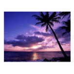 Paradise Island Postcards