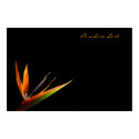Paradise Lost posters