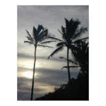 Paradise Palms posters