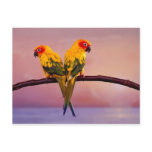 Paradise Parrots Post Card