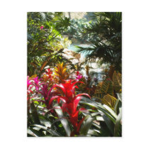 Paradise Postcard