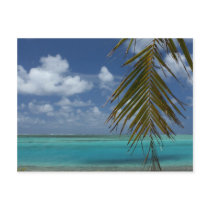 Paradise postcards