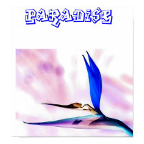 paradise posters