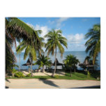 Paradise Poster