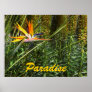 Paradise Posters