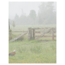 Paradise Shelduck and Mossy Gate Customized Letterhead