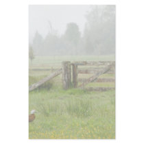 Paradise Shelduck and Mossy Gate Stationery Design