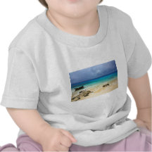 Paradise tropical island beach tee shirts