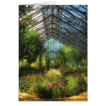 Paradise under glass cards