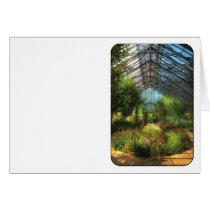 Paradise under glass cards