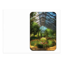Paradise under glass postcards