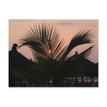 Paradise Village - Puerto Vallarta, Mexico postcards by DaveHobday Paradise Village - Puerto Vallarta, Mexico postcards