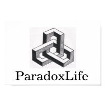 ParadoxLife Poster posters