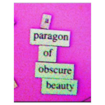 Paragon (Purple) flyers by Writerly Paragon (Purple) flyers
