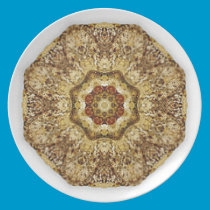 Paragonite plates