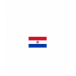 Paraguay College Style T-shirts