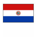 Paraguay Flag and Map T-Shirt shirt