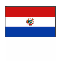 Paraguay Flag and Map T-Shirt by FlagAndMap Paraguay Flag and Map T-Shirt