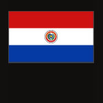 Paraguay Flag Map Spaghetti Top