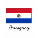 Paraguay Flag Design t-shirts