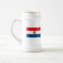 Paraguay Flag Mug