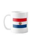 Paraguay Flag Mug