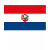 Paraguay Flag T-shirt by FlagTshirts Paraguay Flag T-shirt