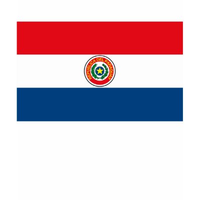 Flag of Nations : Paraguay Flag T Shirt