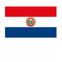 Paraguay Flag T-shirt