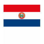 Paraguay Flag T-shirt