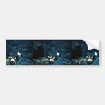 Parakeet Auklet Bumper Sticker
