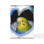 Parakeet Bird Heart Greeting Card