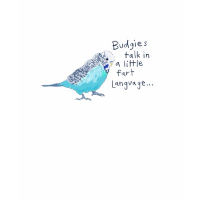 Parakeet: Budgies talk in a little fart language. Tee Shirt by BeaksAndFeet