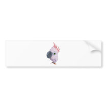 Parakeet bumper stickers by thrillpictures Parakeet bumper stickers