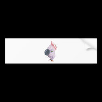 Parakeet bumper stickers