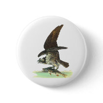 Parakeet - by John Audubon buttons by VintagePets Parakeet - by John Audubon buttons