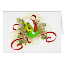 Parakeet Christmas Cards