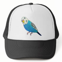 Parakeet Drawing hats