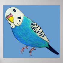 Parakeet Drawing Posters