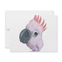Parakeet invitations