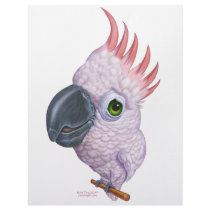 Parakeet letterhead