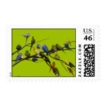 Parakeet Paradise Postage Stamps