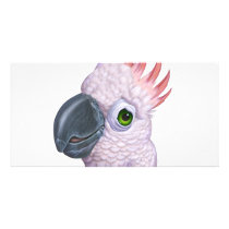 Parakeet Custom Photo Card