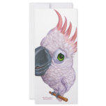 Parakeet Personalized Rack Card