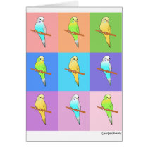 Parakeet Rainbow Rectangles Greeting Cards